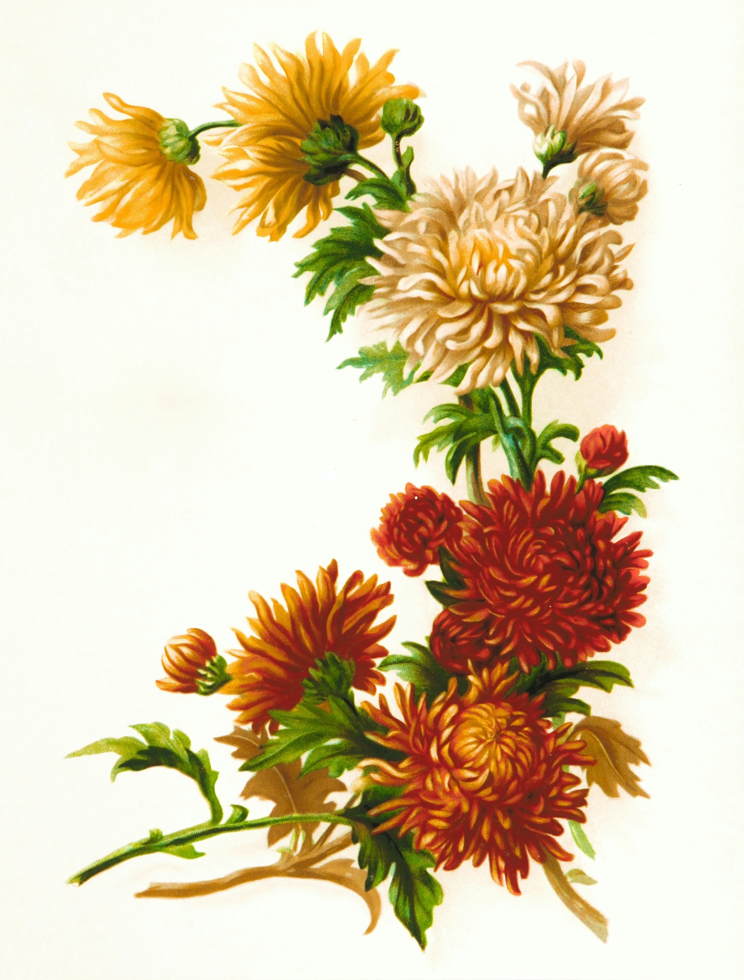 Behind the Scenes of Unique Art Projects